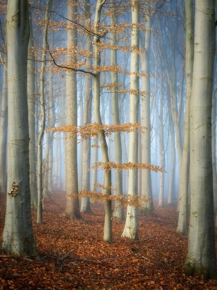 Landscape Photographer Of The Year 2022 Winners