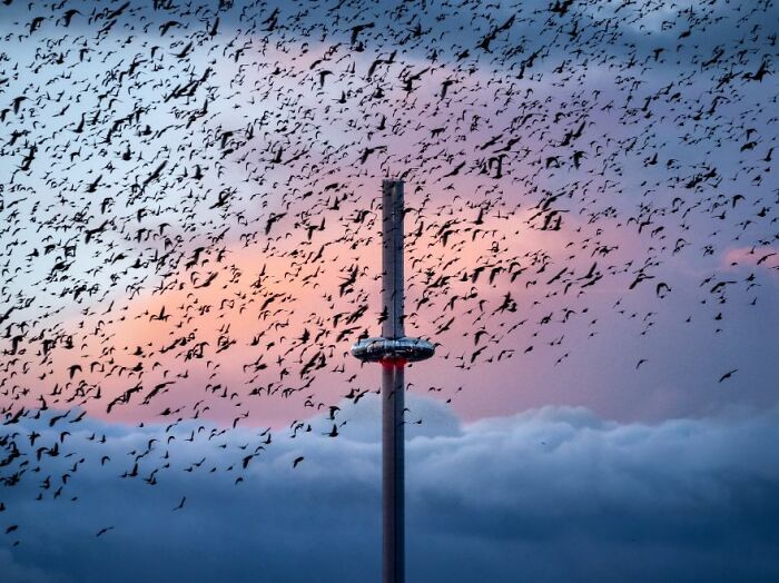 Landscape Photographer Of The Year 2022 Winners