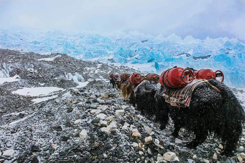 Environmental Photographer Of The Year 2022 Winners