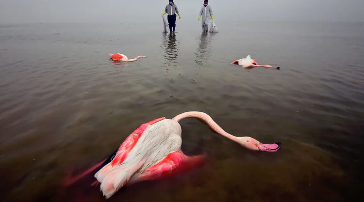 Environmental Photographer Of The Year 2022 Winners