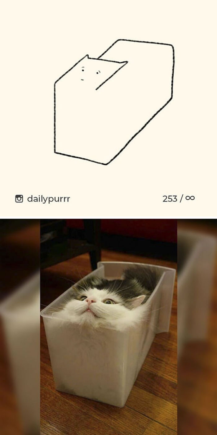 Funny Cat Drawings By Daily Purrr