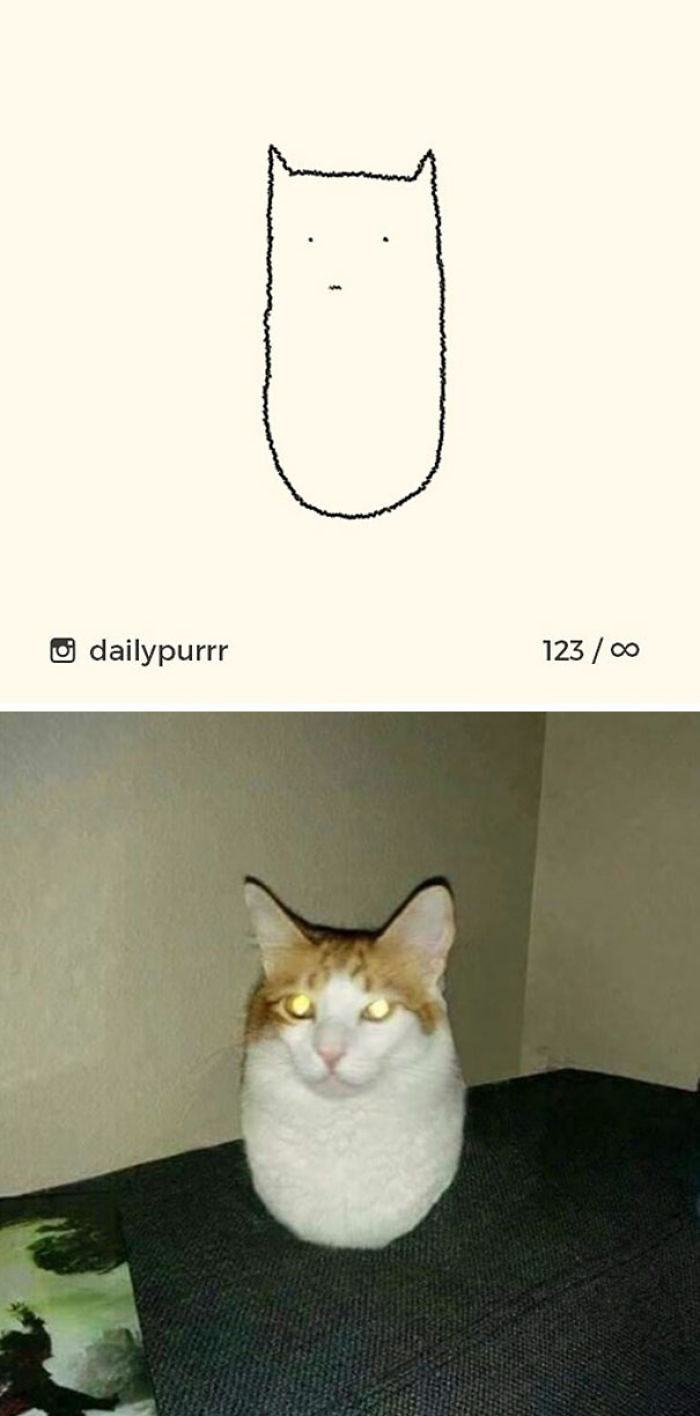 Funny Cat Drawings By Daily Purrr