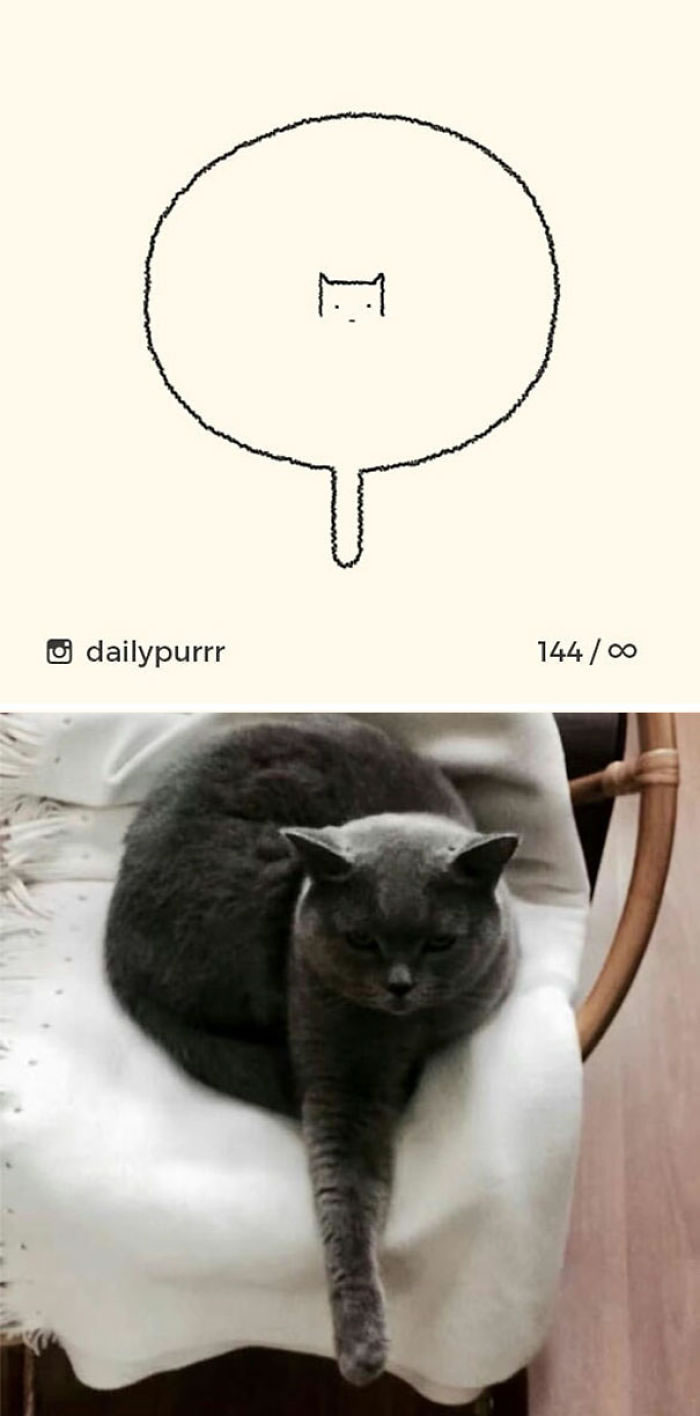 Funny Cat Drawings By Daily Purrr