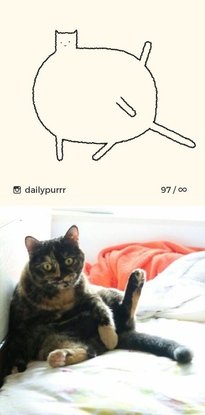 Funny Cat Drawings By Daily Purrr