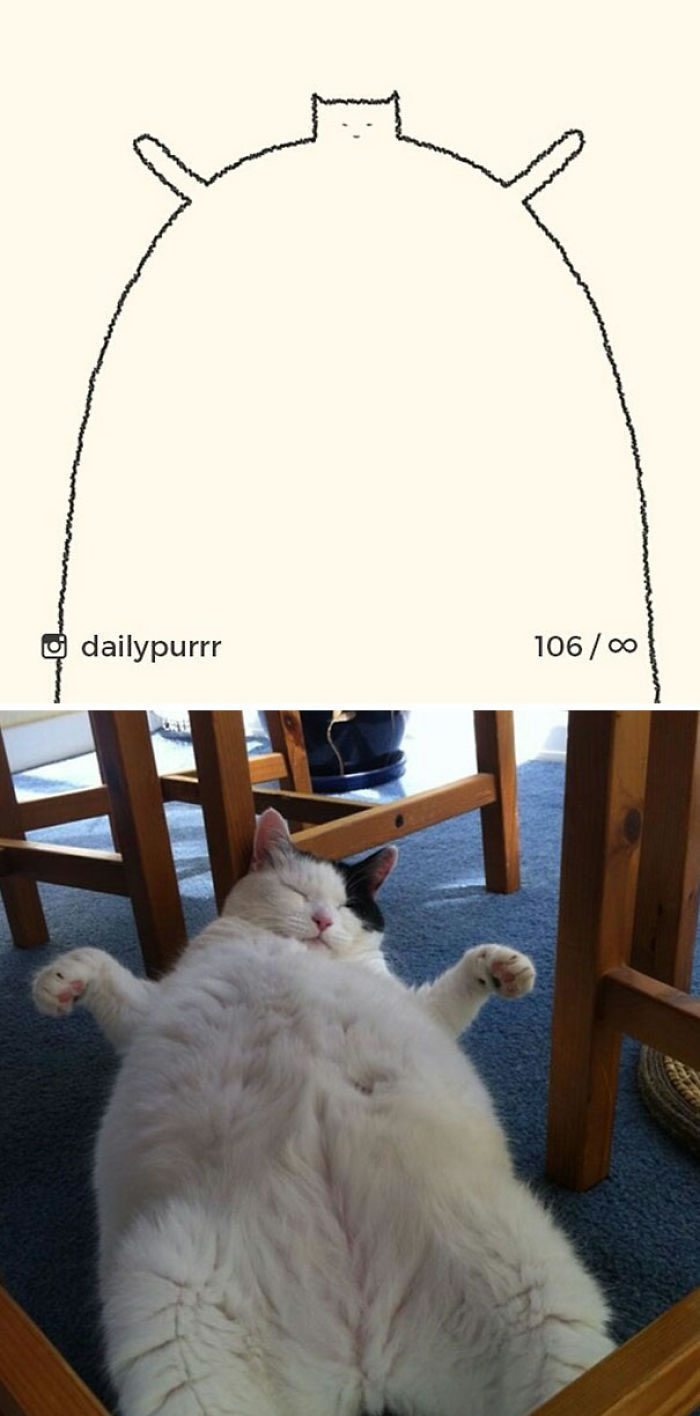 Funny Cat Drawings By Daily Purrr