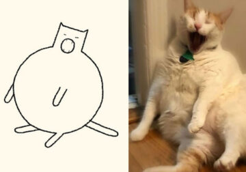 Funny Cat Drawings By Daily Purrr