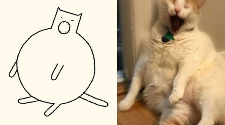 Funny Cat Drawings By Daily Purrr