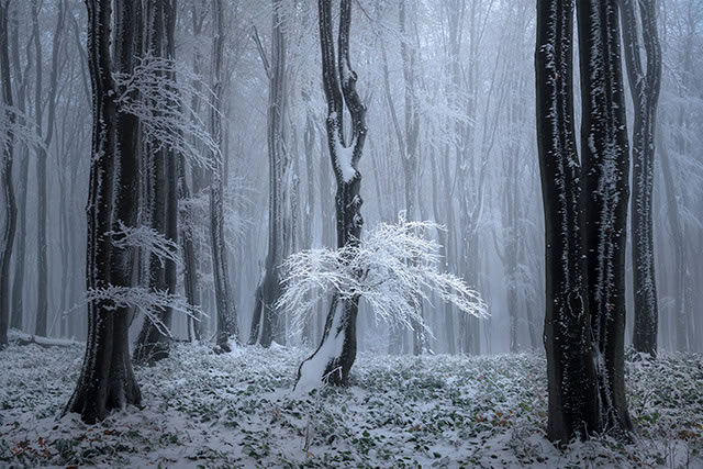 International Landscape Photographer Of The Year 2022