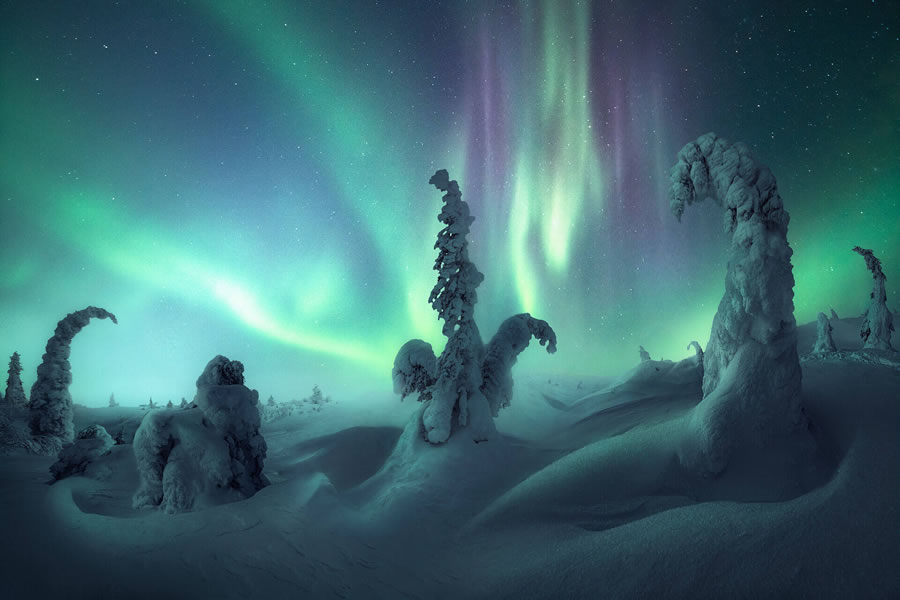 2022 Northern Lights Photographer Of The Year