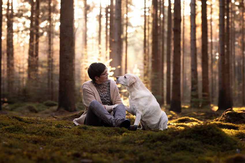 Adorable Dog Photography By Omica Meinen