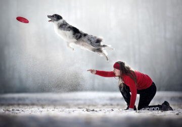 Dog Photography Awards 2022