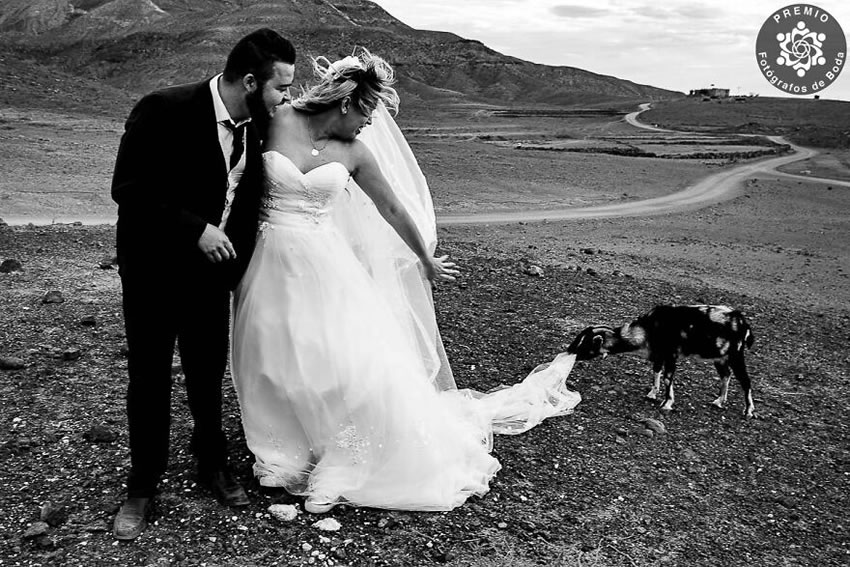 FdB Wedding Photography Awards 2022