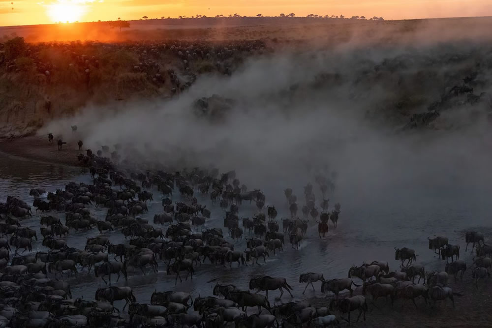 Greatest Maasai Mara Photographer of the Year Winners