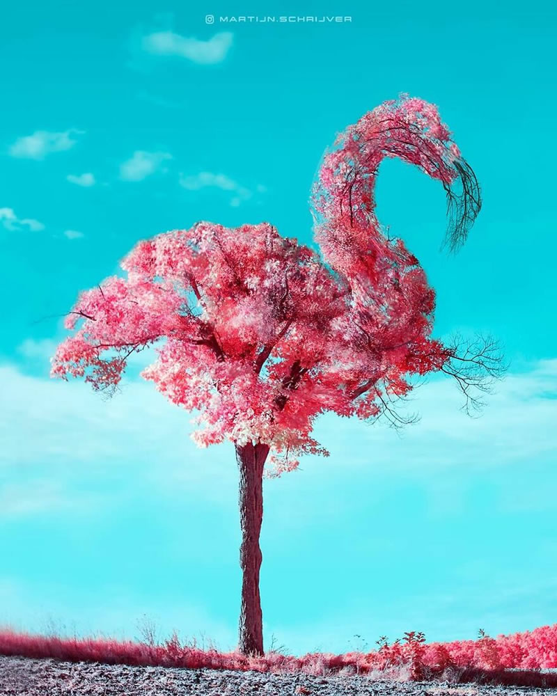 Surreal Photo Manipulations by Martijn Schrijver