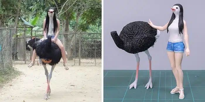 Animal Photos Turned Into Funny Sculptures