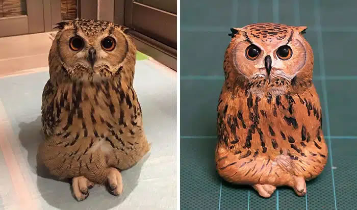 Animal Photos Turned Into Funny Sculptures