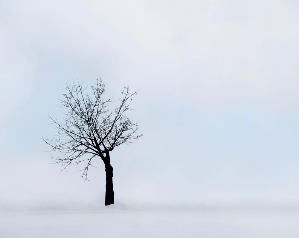 Gurushots Simplistic Minimalism Winners