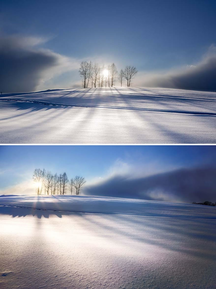 Beautiful Trees Of Hokkaido Japan By Roy Iwasaki