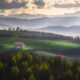 Beautiful Trees Of Hokkaido Japan By Roy Iwasaki