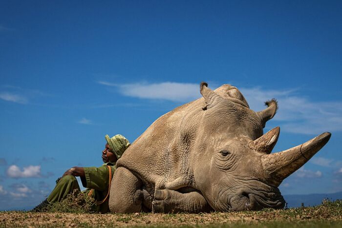 Travel Photographer Of The Year Winners