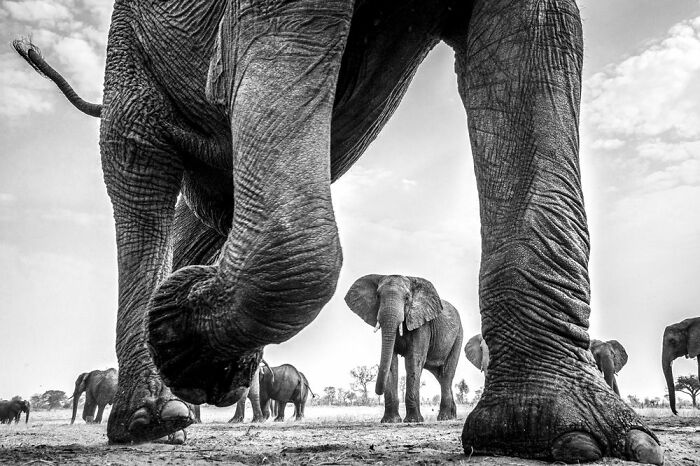 Travel Photographer Of The Year Winners