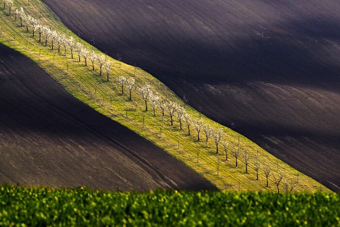 Travel Photographer Of The Year Winners