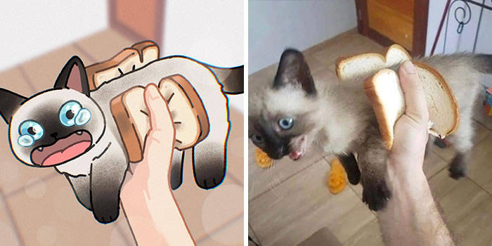 Cute Cat Photos into Comics