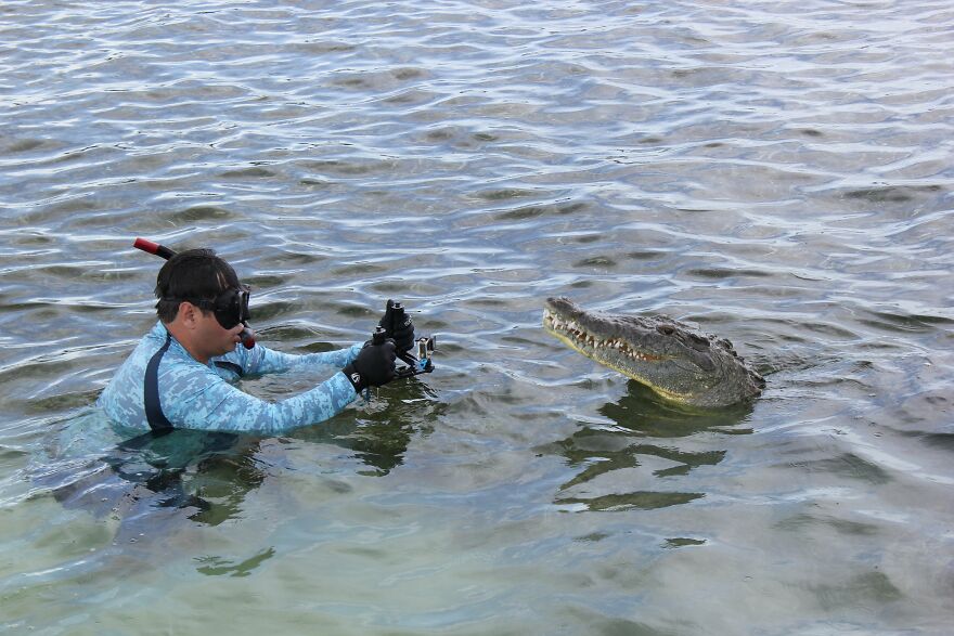 Closest Moments With Apex Predators By Bartolomeo Bove