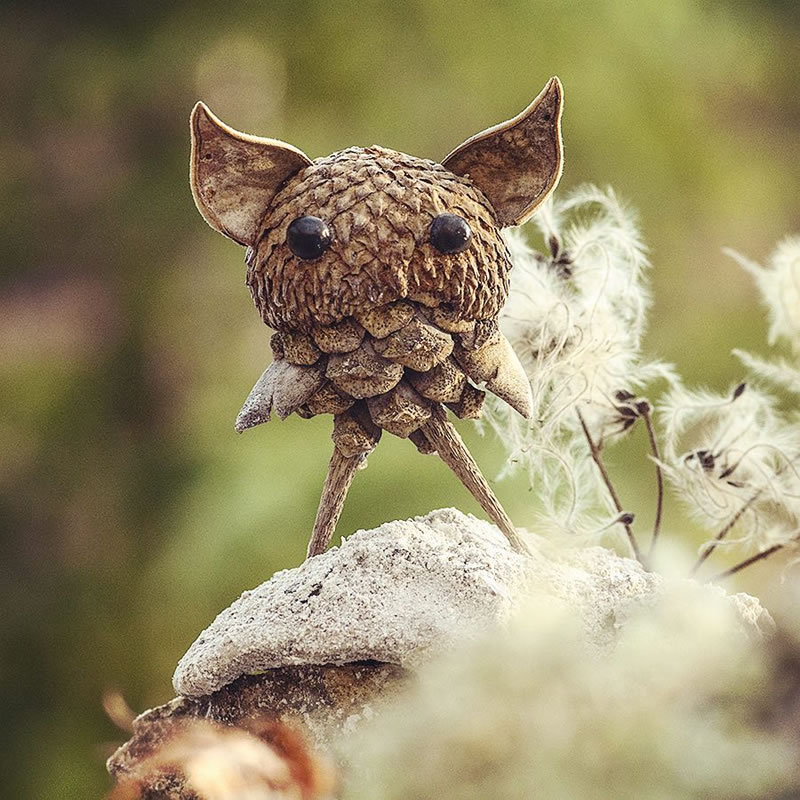 Forest Creatures Using Natural Elements By Sylvain Trabut 