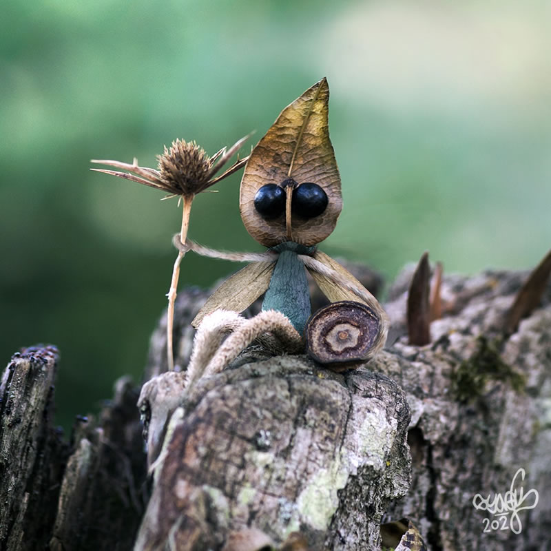 Forest Creatures Using Natural Elements By Sylvain Trabut 