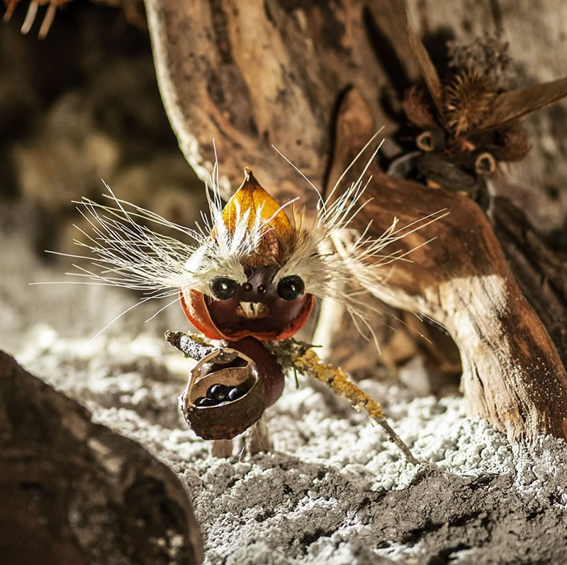 Forest Creatures Using Natural Elements By Sylvain Trabut 