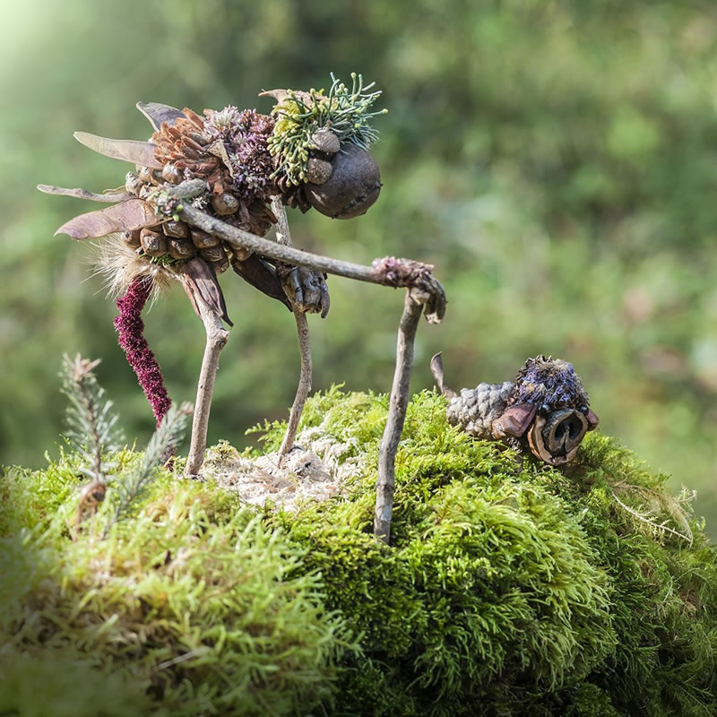 Forest Creatures Using Natural Elements By Sylvain Trabut 