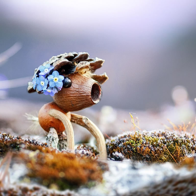 Forest Creatures Using Natural Elements By Sylvain Trabut 