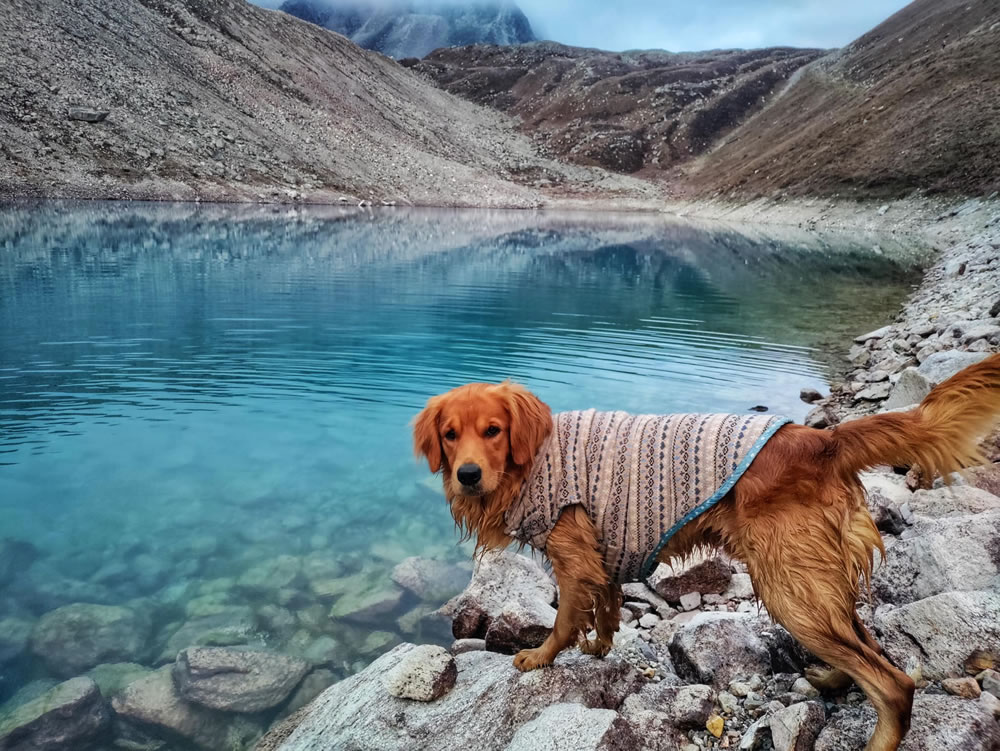 Trekking In Nepal By Yen Nguyen