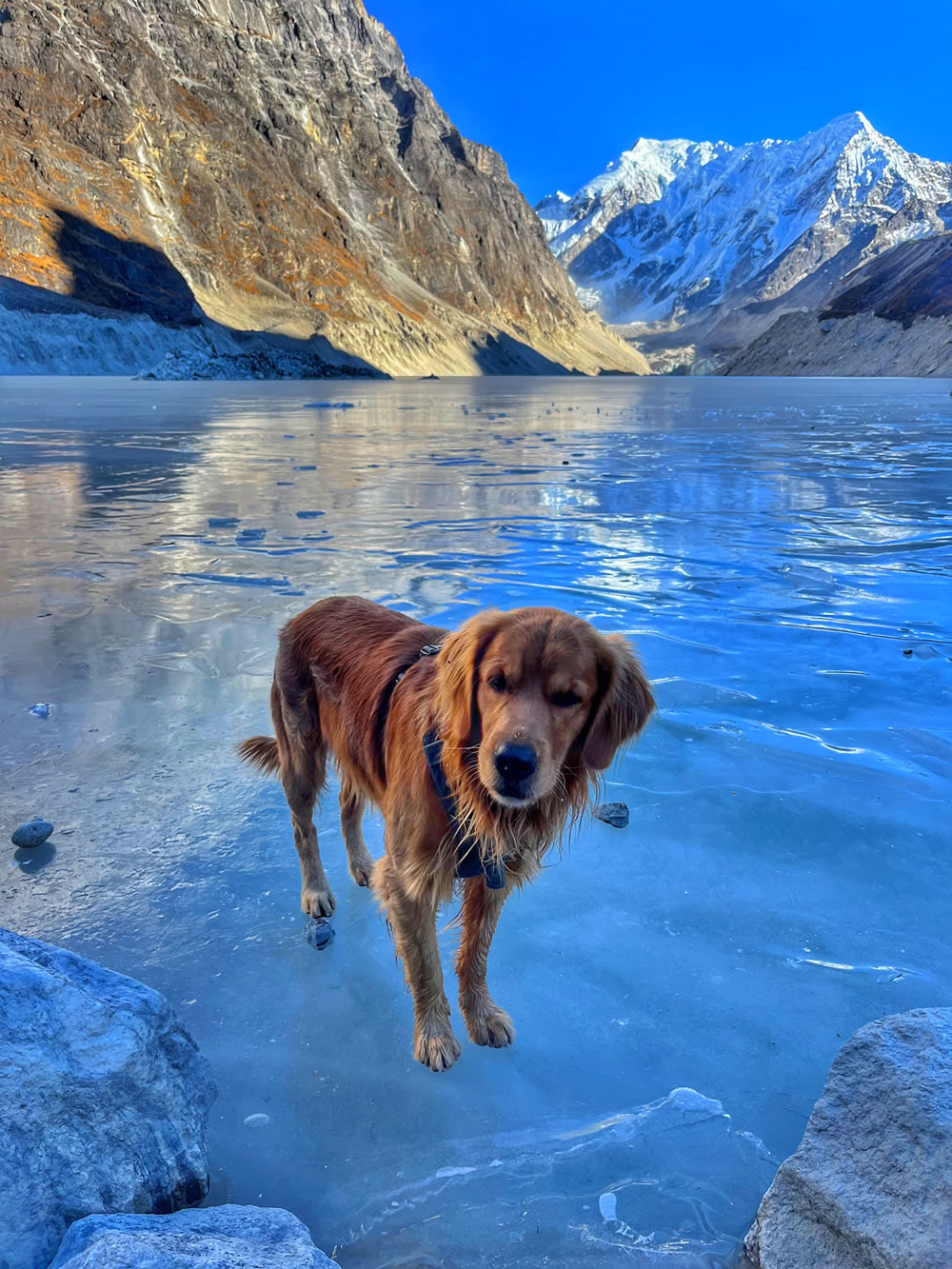 Trekking In Nepal By Yen Nguyen