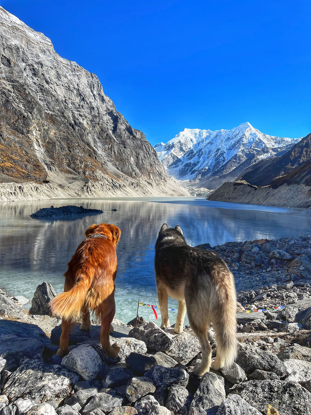 Trekking In Nepal By Yen Nguyen