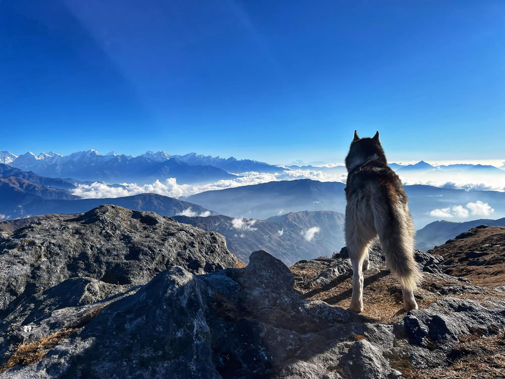 Trekking In Nepal By Yen Nguyen