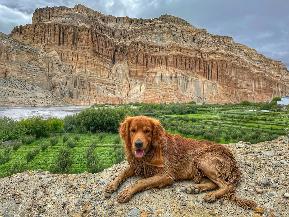 Trekking In Nepal By Yen Nguyen