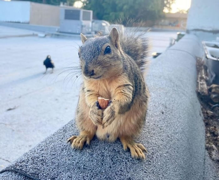 Cute Animals Living Happily with Their Soulmate