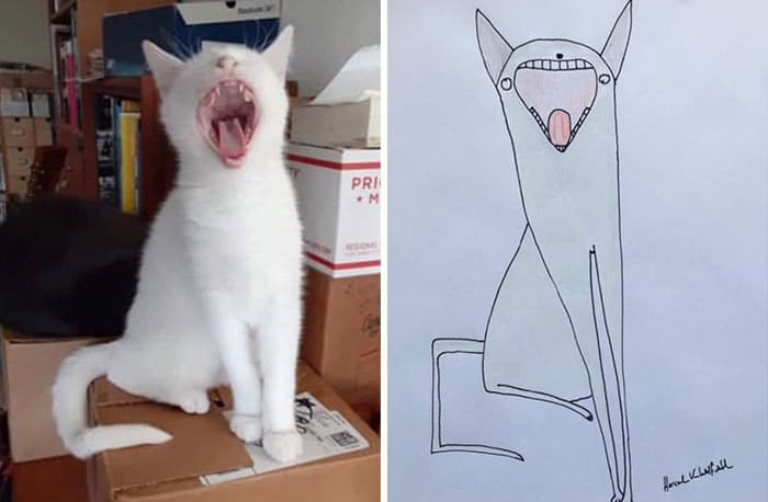 Funny Animal Portrait Drawings By Hercule Van Wolfwinkle