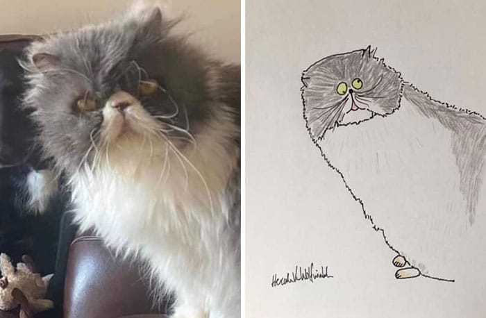 Funny Animal Portrait Drawings By Hercule Van Wolfwinkle