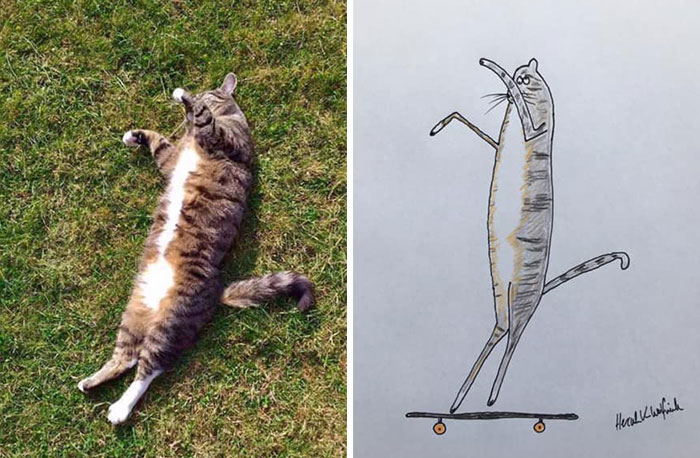 Funny Animal Portrait Drawings By Hercule Van Wolfwinkle