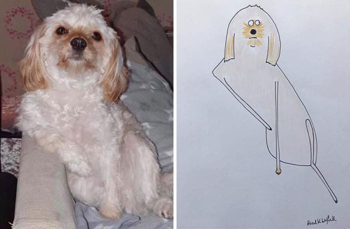 Funny Animal Portrait Drawings By Hercule Van Wolfwinkle