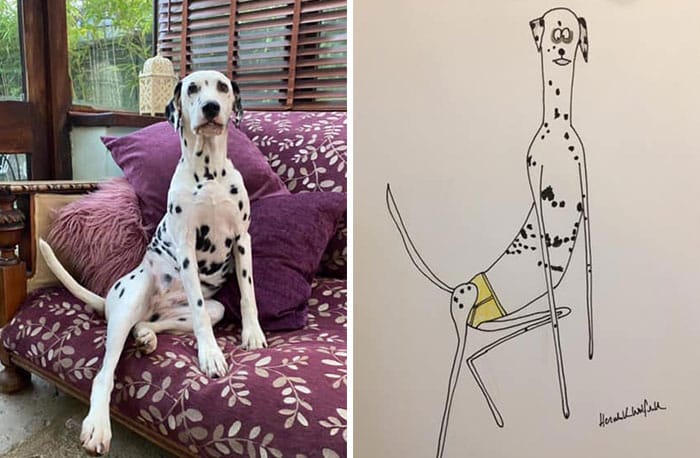 Funny Animal Portrait Drawings By Hercule Van Wolfwinkle