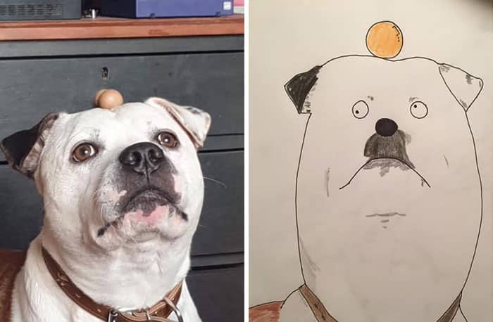 Funny Animal Portrait Drawings By Hercule Van Wolfwinkle