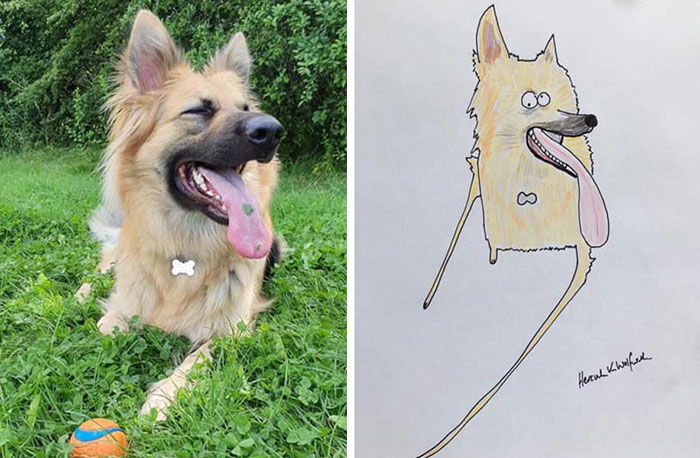 Funny Animal Portrait Drawings By Hercule Van Wolfwinkle