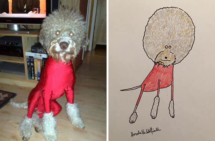 Funny Animal Portrait Drawings By Hercule Van Wolfwinkle