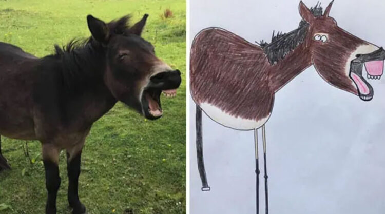 Funny Animal Portrait Drawings By Hercule Van Wolfwinkle