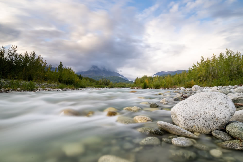 Gurushots Springtime Splendor Photo Challenge Winners