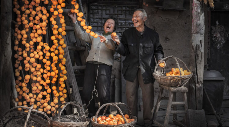 Pink Lady Food Photographer Of The Year Awards